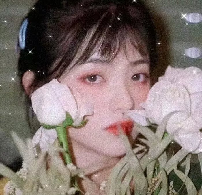 新罗曼蒂克